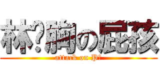 林瑋胸の屁孩 (attack on P還)