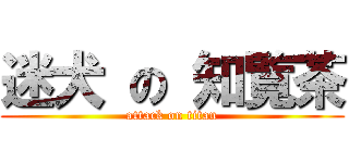 迷犬 の 知覧茶 (attack on titan)