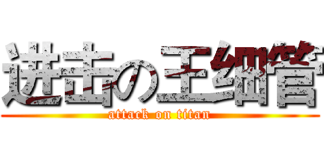 进击の王细管 (attack on titan)