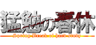 猛勉の春休 (Spring Break of hard study)