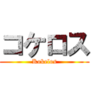 コケロス (Kokelos)