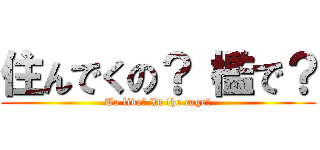 住んでくの？ 檻で？ (To live? In the cage?)