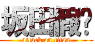 坂田假发 (attack on titan)