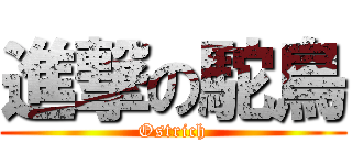 進撃の駝鳥 (Ostrich)