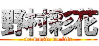 野村彩花 (no music no life)