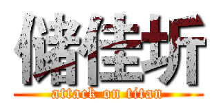 储佳圻 (attack on titan)