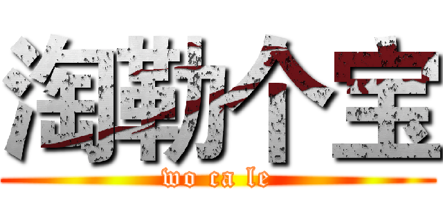 淘勒个宝 (wo ca le)