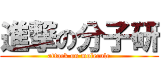 進撃の分子研 (attack on molecule)