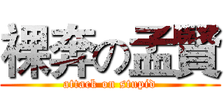 裸奔の孟賢 (attack on stupid)