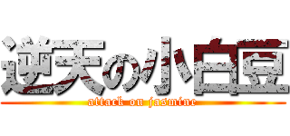 逆天の小白豆 (attack on jasmine)