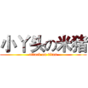 小丫头の米猪 (attack on titan)