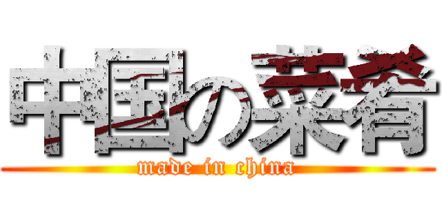 中国の菜肴 (made in china)
