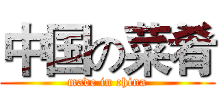 中国の菜肴 (made in china)