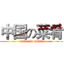 中国の菜肴 (made in china)