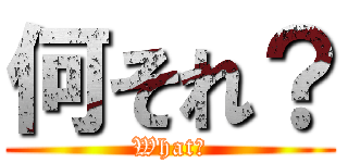 何それ？ (What?)