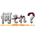 何それ？ (What?)