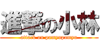進撃の小林 (attack on pamyupamyu)