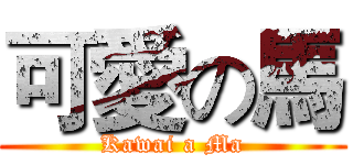 可愛の馬 (Kawai a Ma)