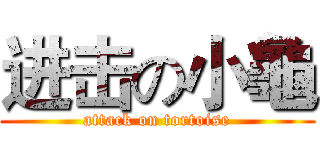 进击の小龜 (attack on tortoise)