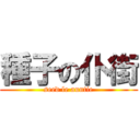 種子の仆街 (seed le auntie)