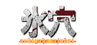 氷穴 (aokigaharajukai)