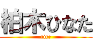 柏木ひなた (rice)