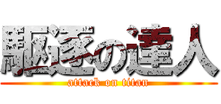 駆逐の達人 (attack on titan)