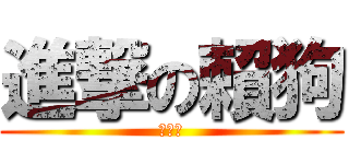 進撃の賴狗 (就是狗)