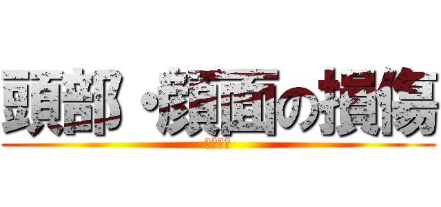 頭部・顔面の損傷 (柔整理論)