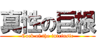 真性の巨根 (Cock of the intrinsic)