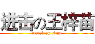 进击の王梓苗 (attack on titan)