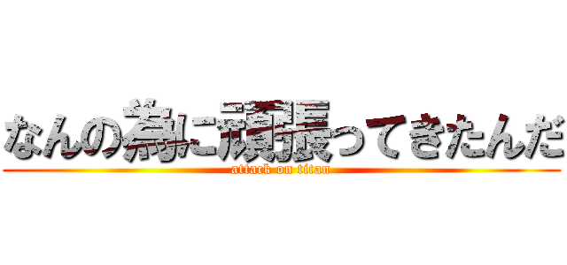 なんの為に頑張ってきたんだ (attack on titan)