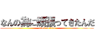 なんの為に頑張ってきたんだ (attack on titan)