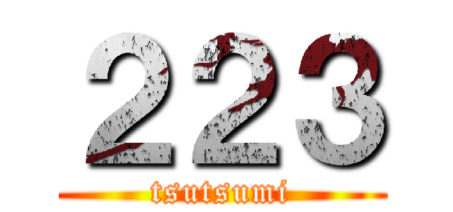 ２２３ (tsutsumi)