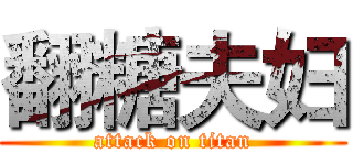 翻糖夫妇 (attack on titan)