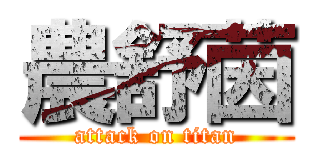 農舒茵 (attack on titan)