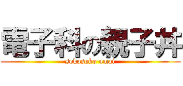 電子科の親子丼 (sokosoko umai)