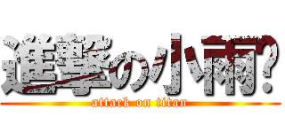進撃の小雨喵 (attack on titan)