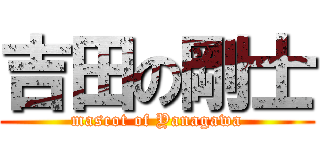 吉田の剛士 (mascot of Yanagawa)