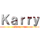 Ｋａｒｒｙ (Hergom)