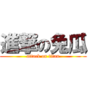 進撃の兔瓜 (attack on titan)