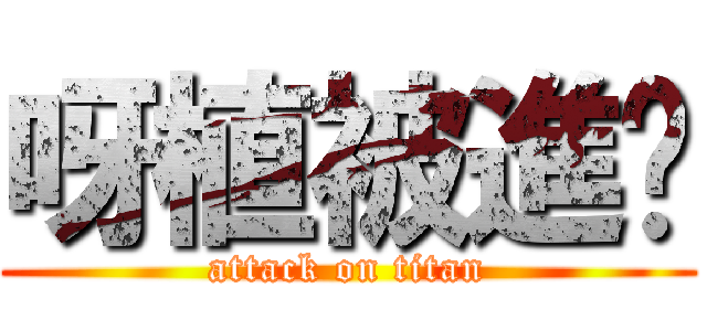 呀植被進擊 (attack on titan)
