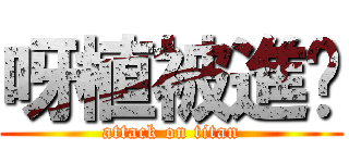 呀植被進擊 (attack on titan)