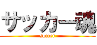 サッカー魂 (soccer)