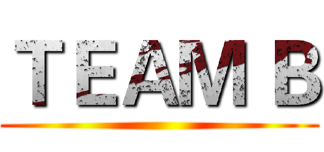 ＴＥＡＭ Ｂ ( )