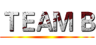 ＴＥＡＭ Ｂ ( )