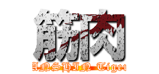 筋肉 (HANSHIN Tigers)