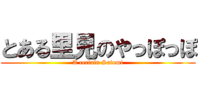 とある里見のやっぽっぽ (A certain Satomi)