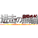 进击の熊貓 (attack on titan)