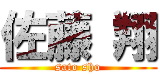 佐藤 翔 (sato sho)